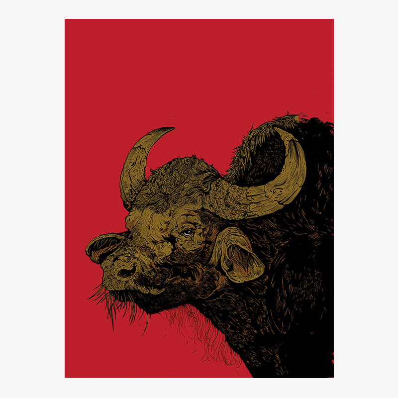 Forest Encounters: Gaur