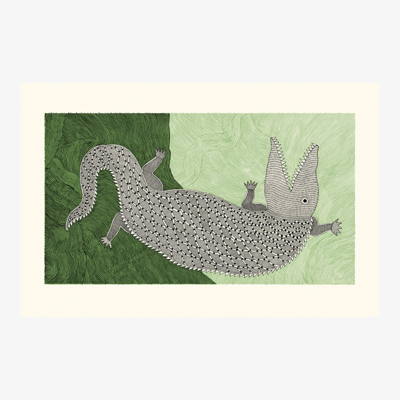 Crocodile