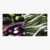 Vegetables of India