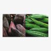 Vegetables of India