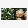 Vegetables of India