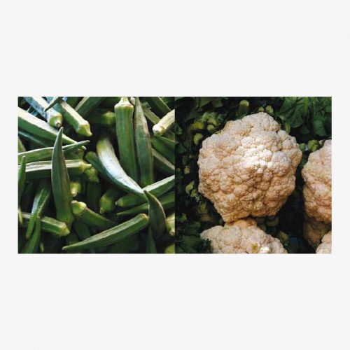 Vegetables of India