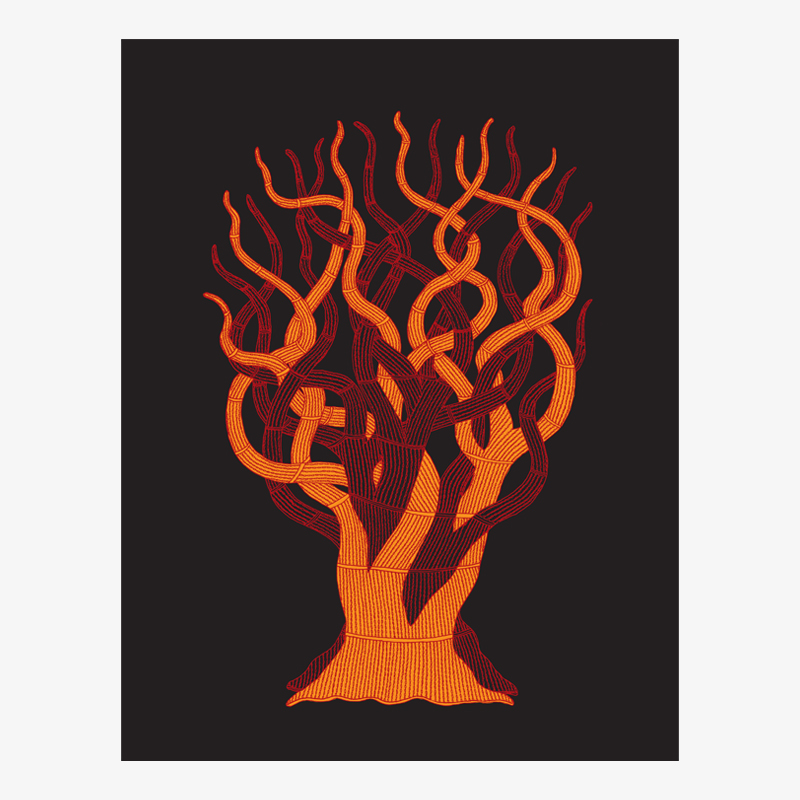 The Tree That Binds