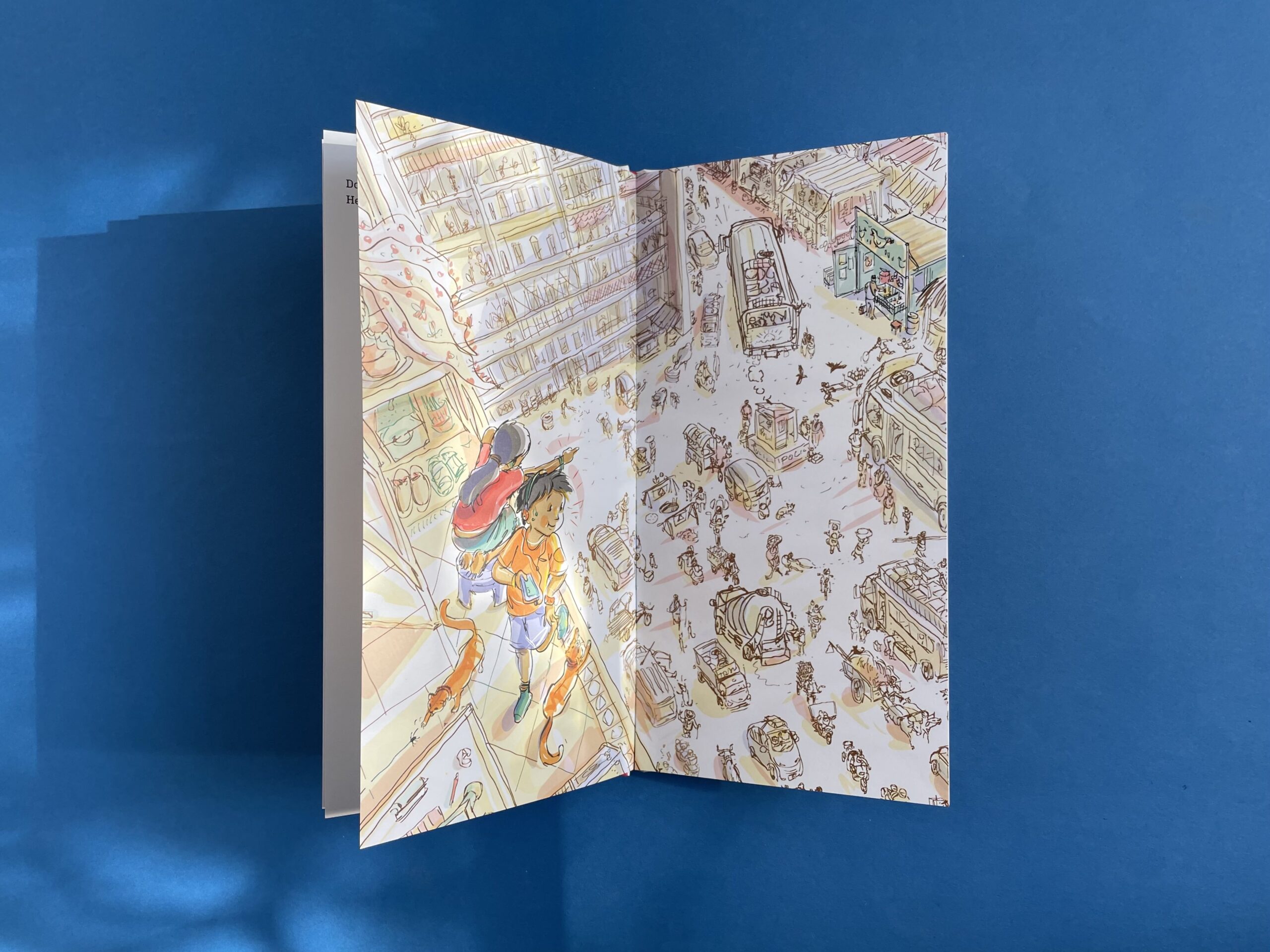 A Rooster for a Pet? - Image 3