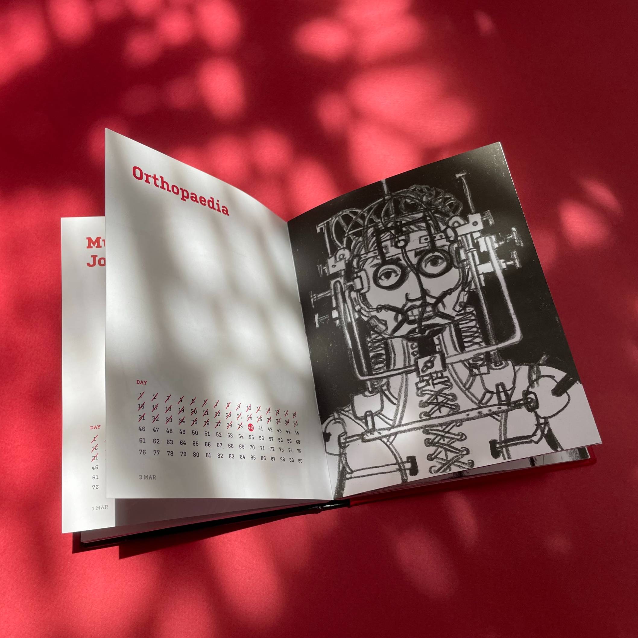 The 90 Day Cast - Image 7