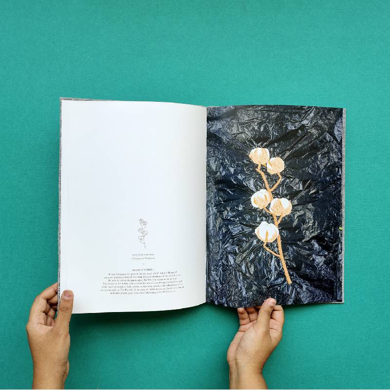 A Stitch Out of Time - Image 4