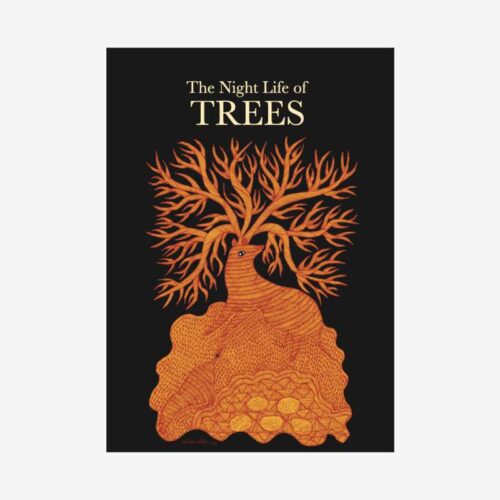 The Night Life of Trees