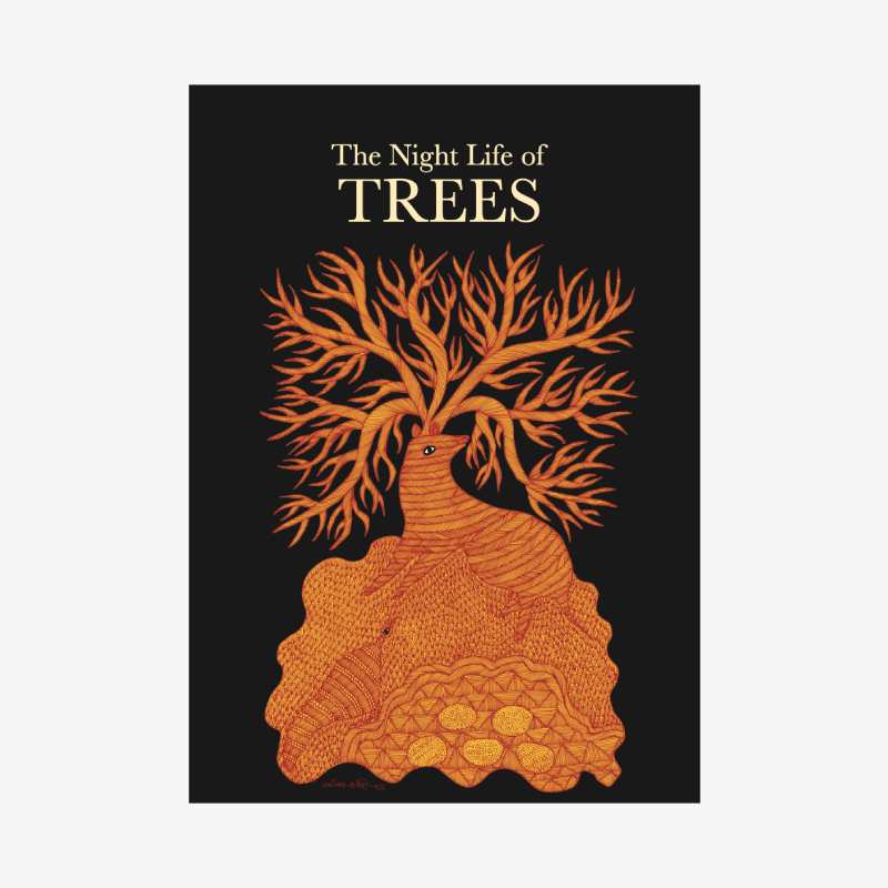 The Night Life of Trees