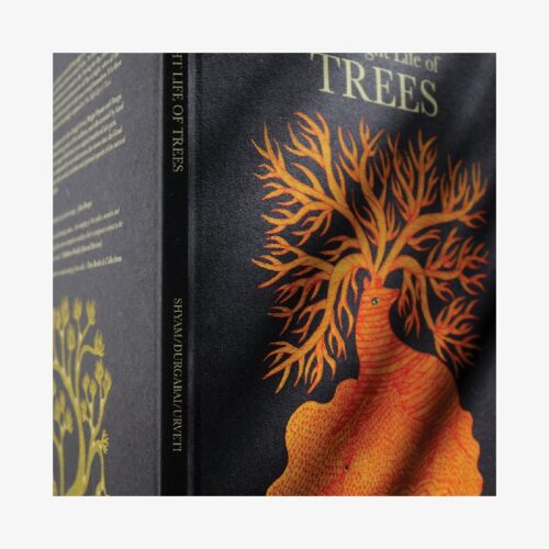 The Night Life of Trees