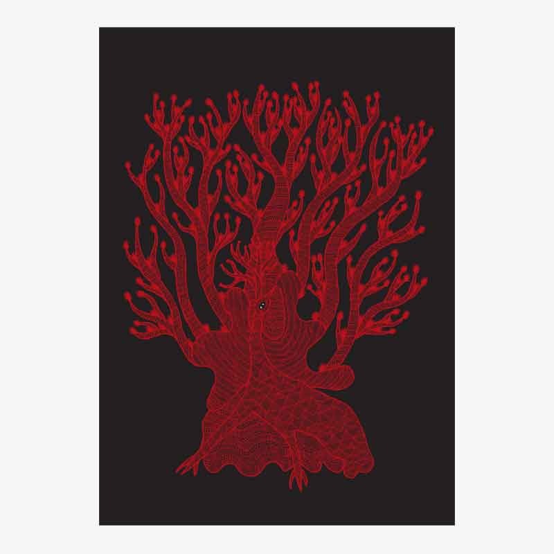 The Peacock Card